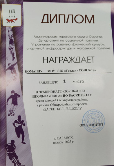 Районный этап Всероссийских соревнований по баскетболу &laquo;Локобаскет&raquo;.